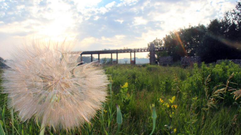 A vibrant, inclusive, and sustainable world starts here in west central Minnesota