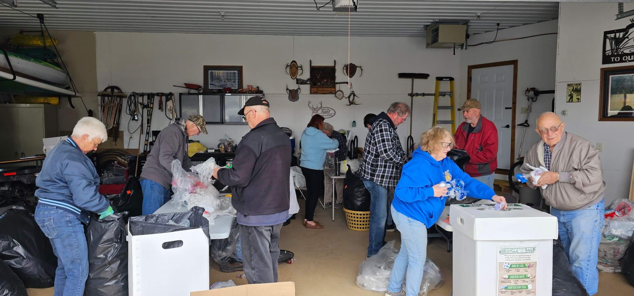 Group of Lions from Vergas Recycling plastic