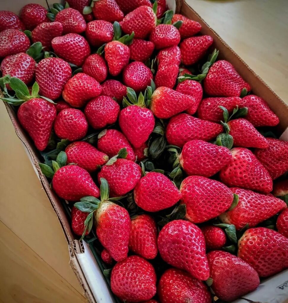 strawberries
