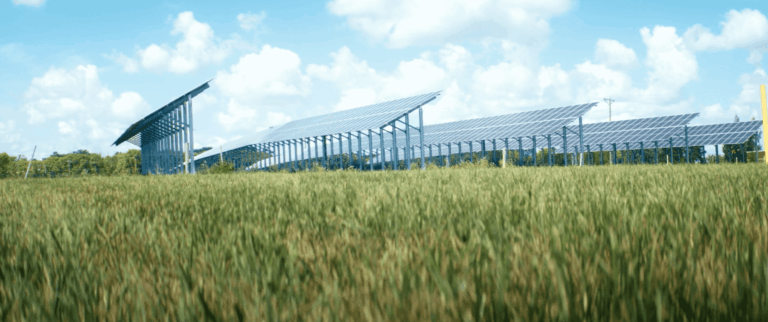Solar Panels, Field