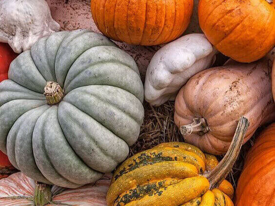 Pumpkins