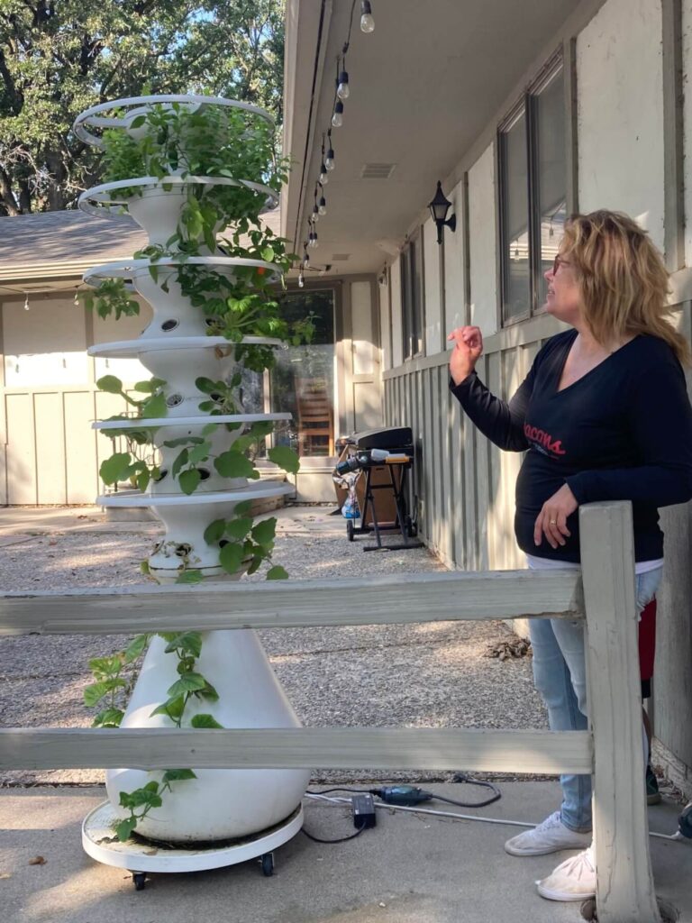 Hydro garden at Harvest Hope Farm