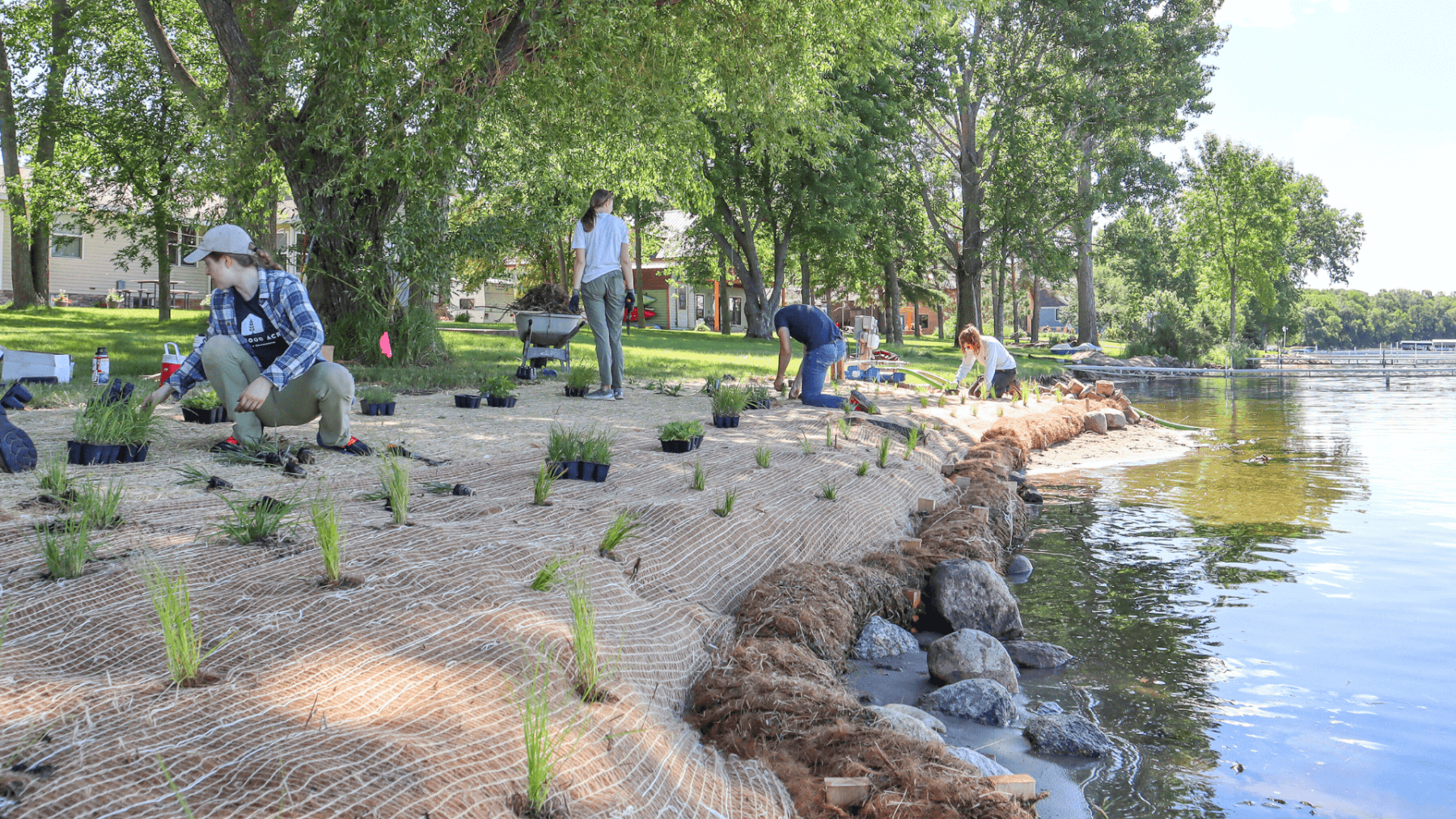 Shoreline Restoration
