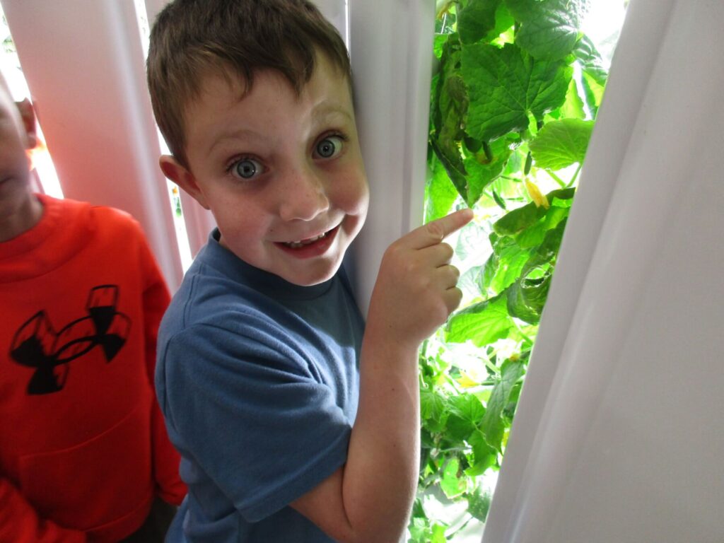 A boy smiles and point to a green plant in the hydroponic garden