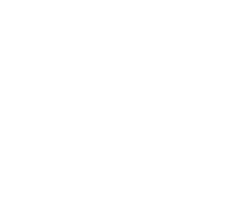 Goal 10: Reduced Inequalities