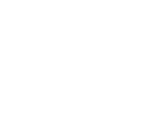 Goal 16: Peace, Justice, and Strong Institutions