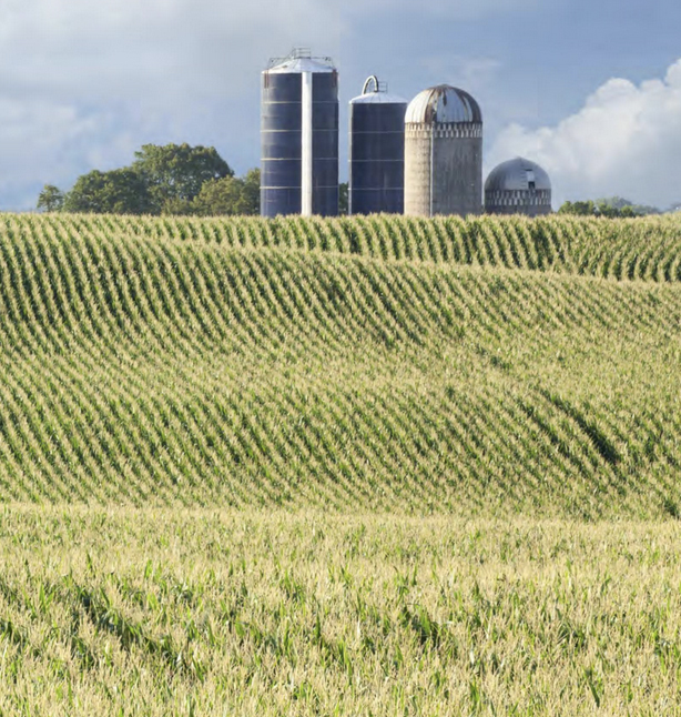 Local Food & Agriculture photo