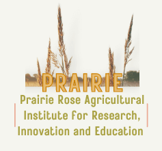Logo for PRAIRIE – Prairie Rose Agricultural Institute for Research, Innovation and Education, featuring wheat graphics and gold text.