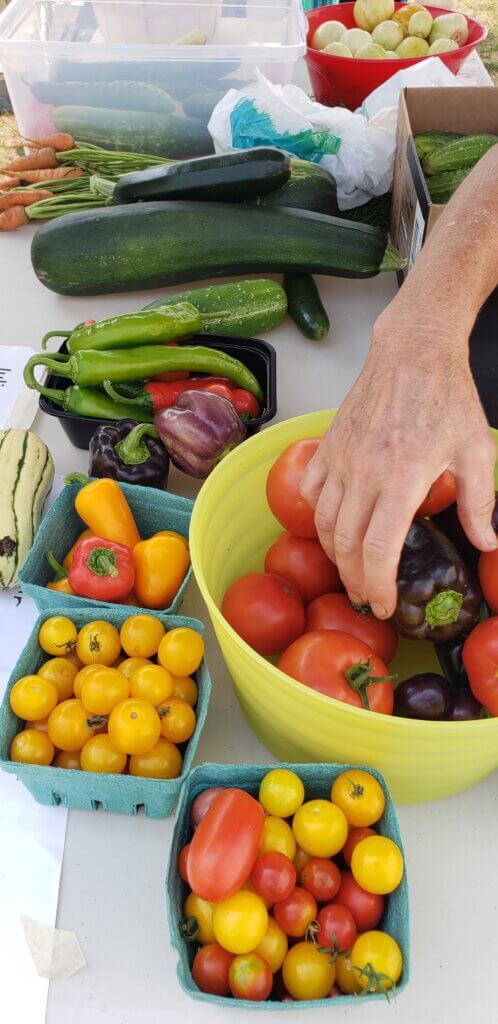 a hand reaching into a bowl of tomatoes on a table of produce