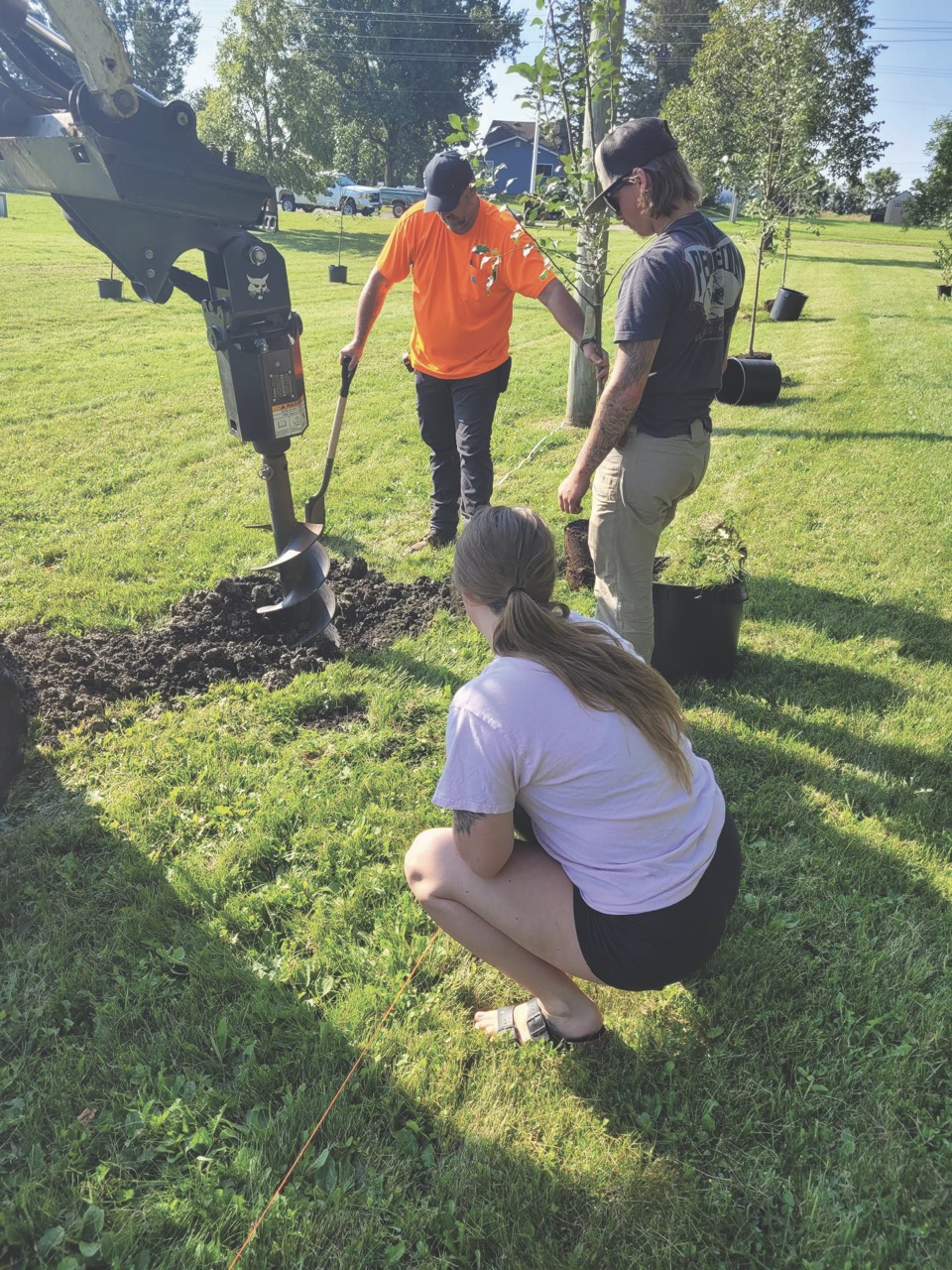 people planting trees with a machine
