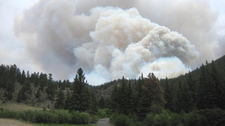 Wildfire